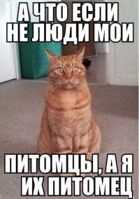 Если им рассказать, то у них такие же морды будут =)