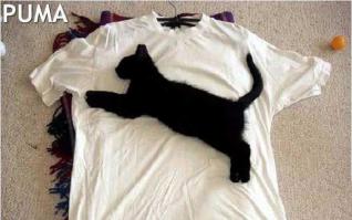 Китайские подделки всегда радовали))