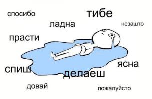 Фишкина солянка за 20.06.2014