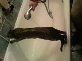 Миссия выполнима!