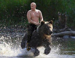 Темная сторона котов
