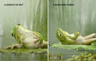 Интересные факты, которых вы могли не знать