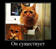 Фишкина солянка за 28.05.2014 