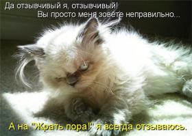 Смешные картинки с подписями 