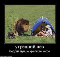 Большие кошки