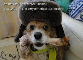 Смешные картинки с подписями