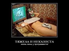 Жизнь программиста