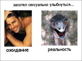 Ожидание и реальность