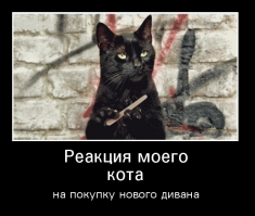 Смешные картинки с подписями