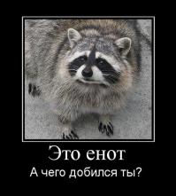 Трудолюбивые еноты