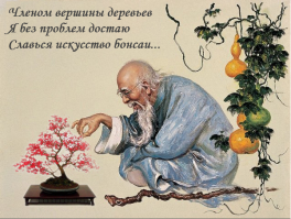 Лучшие «пирожки» за первую половину 2014 года