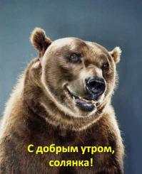 Фишкина солянка за 16.07.2014