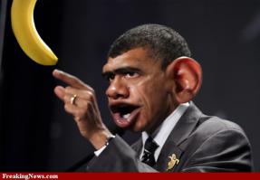 Солянка для Майдана. Часть 33