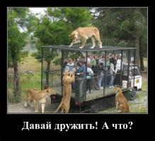30 человек, нашедших своих новых лучших друзей в зоопарке