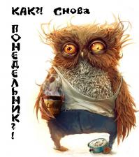 Фишкина солянка за 03.08.2014