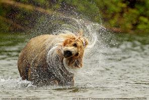 У всех должна быть такая фотка