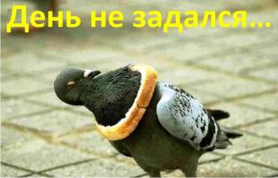 Тем, у кого день не задался: неудачные прыжки