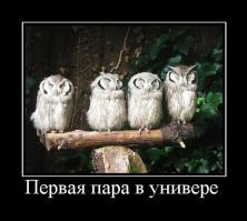 Начало учебного года