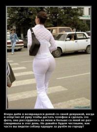 Почему собаки отвратительные водители