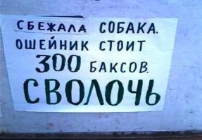  Пропала собака. Помогите найти