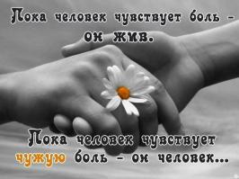 Эти 15 фотографий вернули мне веру в человечество