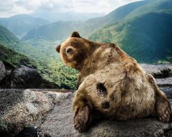 20 животных, которых тоже чертовски удивляет этот мир