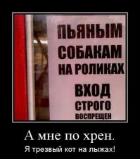 Демотиваторы