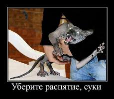 Вампирский кот Лазарус стал новой звездой интернета