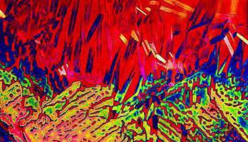 Пиво. Марку не скажу