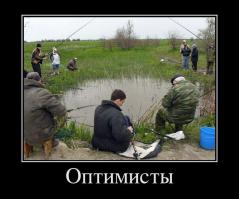Примеры настоящего оптимизма