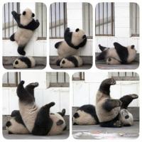 Не у всех получается...