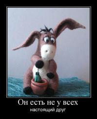 День у ослика не задался