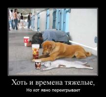 Провинившиеся питомцы