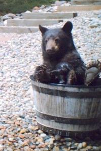 Привычка с детства осталась...