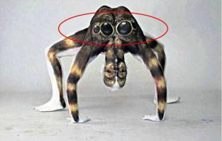 Боди арт на телах акробатов