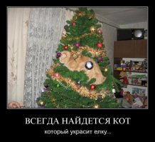 Елки и коты: созданы друг для друга