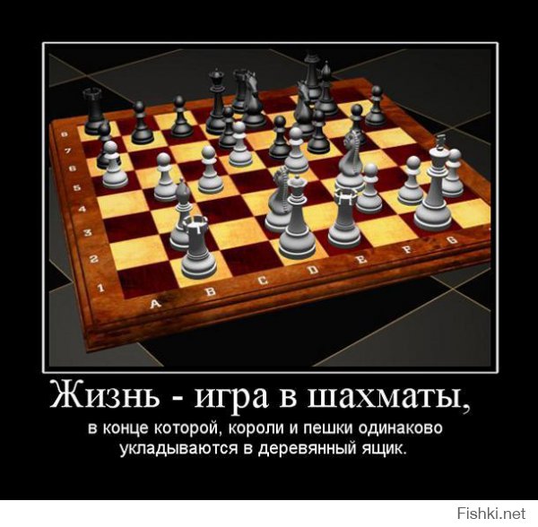 Потрясающий набор шахмат