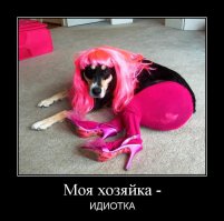 Пушистая модница