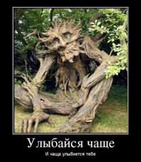 Деревья — как живые  