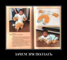 Из этой же серии...