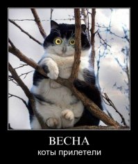 10 картинок, которые ускорят приход весны