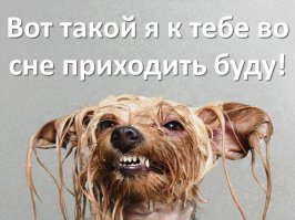 До и после душа