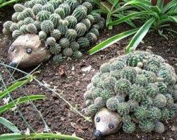 Садовые хитрости: 12 полезных советов
