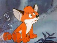 а кстати - да, похож на Вука, если кто помнит такого.