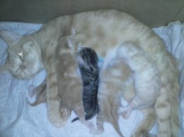 Наша красотка!)))