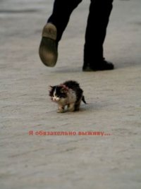 Муж пошел на рынок за картошкой и принес это чудо