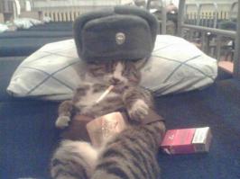Это было смешно