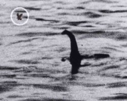 Редкая фотография