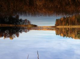 Озеро Алё, Псковская область.