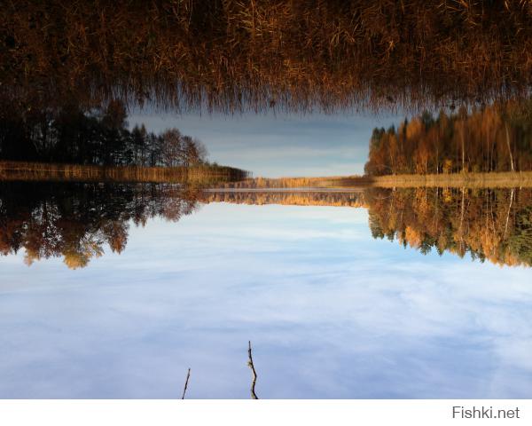 Озеро Алё, Псковская область.